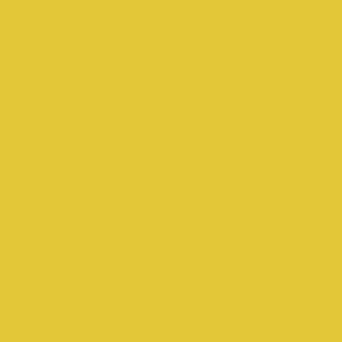 Yellow Hibiscus 357